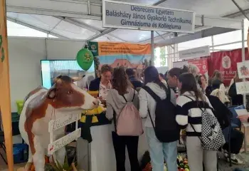 Beiratkozás